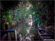 _DSF9627 (Copy)